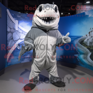 Silver Barracuda mascot...