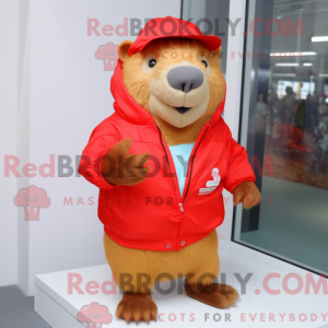 Red Capybara mascot costume...