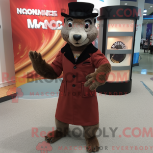 Mongoose mascot costume...