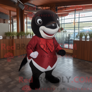 Maroon Killer Whale...