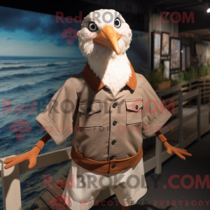 Brown Seagull mascot...