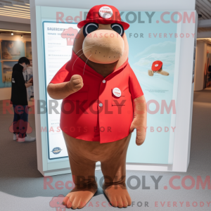 Rode Walrus mascottekostuum...