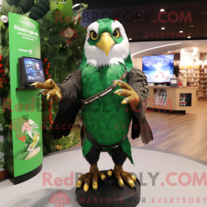 Forest Green Falcon maskot...