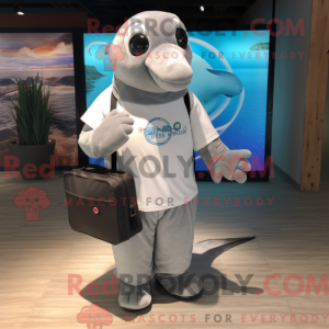 Gray Dolphin mascot costume...