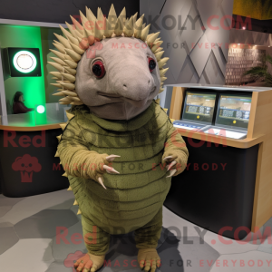 Olive Armadillo mascotte...