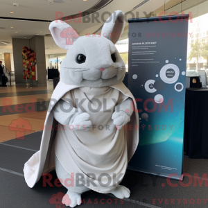 White Chinchilla mascot...