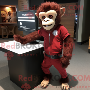 Maroon Capuchin Monkey...