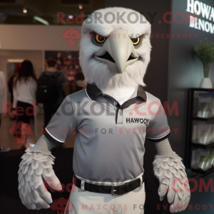 Silver Hawk maskot kostume...