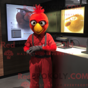 Costume mascotte des...