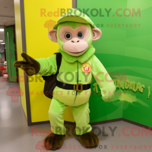 Limegrön Capuchin Monkey...