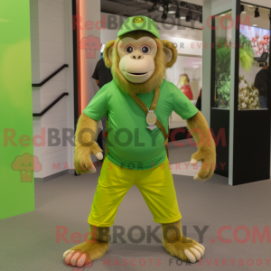 Lime Green Capuchin Monkey...