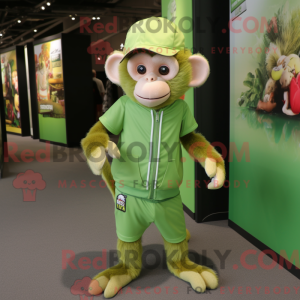 Lime Green Capuchin Monkey...