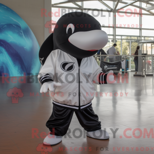White Killer Whale mascot...