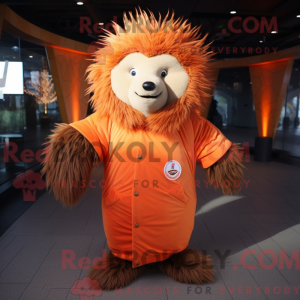 Oranje Stekelvarken...