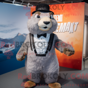 Mascot character of a Gray...