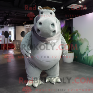 Mascot character of a Gray...
