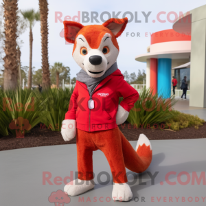 Maskottchen eines Red Dingo...