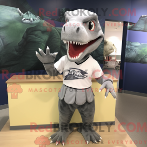 Mascot character of a Gray...