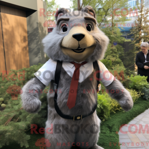 Mascot character of a Gray...