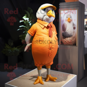 Orange Pigeon mascotte...