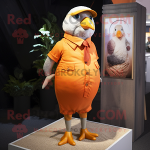 Orange Pigeon maskot drakt...