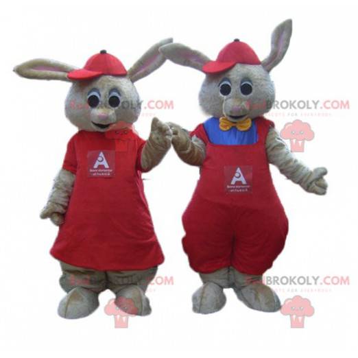 2 mascotas de conejos marrones vestidos de rojo - Redbrokoly.com