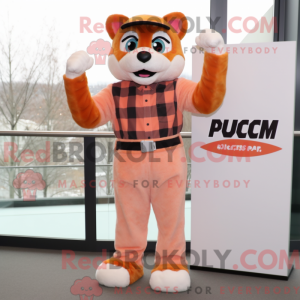 Mascot character of a Peach...