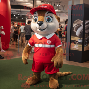 Mascot character of a Red Meerkat dressed with a Rugby Shirt and Berets