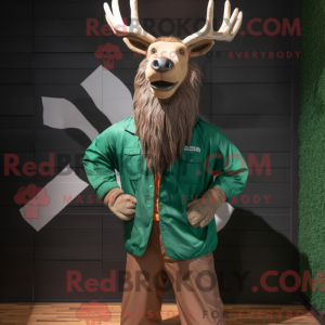 Mascot character of a Irish Elk dressed with a Windbreaker and Pocket squares