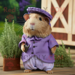 Lavendel cavia mascotte...