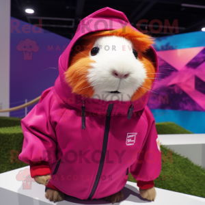 Magenta cavia mascotte...