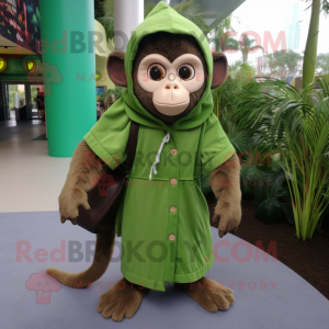 Green Capuchin Monkey...