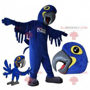Blauwe en gele papegaai mascotte. Vogel mascotte -