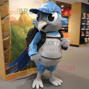 Gray Blue Jay maskot drakt...