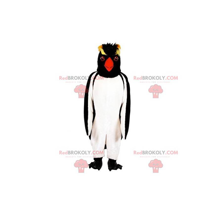 Mascote de pinguim de pinguim. Mascote pinguim-de-crista -