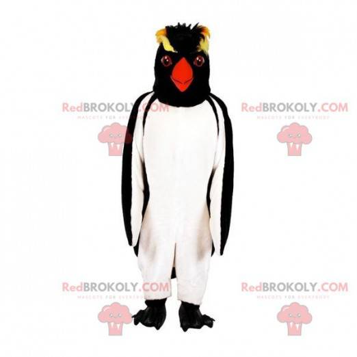 Mascote de pinguim de pinguim. Mascote pinguim-de-crista -