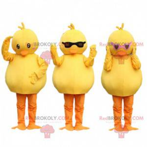 3 mascottes kuikens, gele kanaries. Vogel kostuum -
