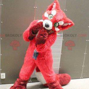 Maskotka psa red fox - Redbrokoly.com