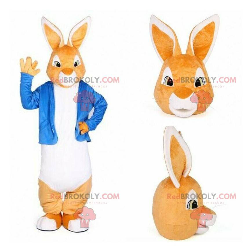 Illustreren inschakelen Pornografie Oranje en wit konijn mascotte met een blauw jasje Besnoeiing L (175-180 cm)