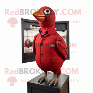 Red Pigeon maskot kostume...