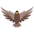 Maskoti Falcon