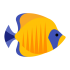 Maskotki Betta Fish